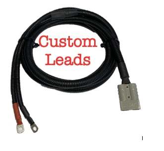 Custom Leads